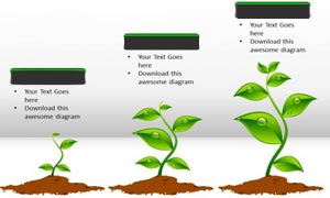 Teach Learn web Animations