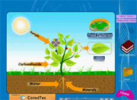 Teach Learn Web Animations and Videos