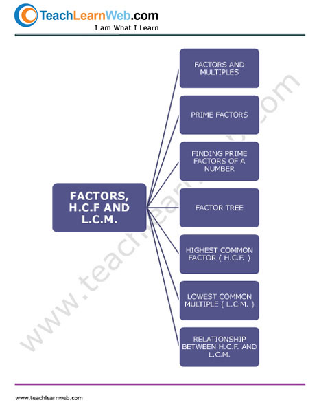 Teach Learn Web Class 5 Math Mind Map