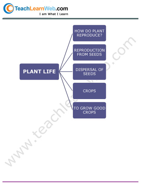 Teach Learn Web Class 5 Science Mind Map