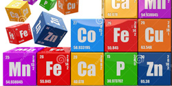 Teach Learn Web Teacher Resources