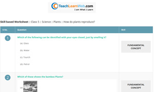 Teach Learn web Worksheets